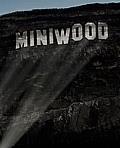 MINIWOOD Projektion 